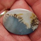 Wonder Plant Growth  Pattern Dendritic Agate Stone