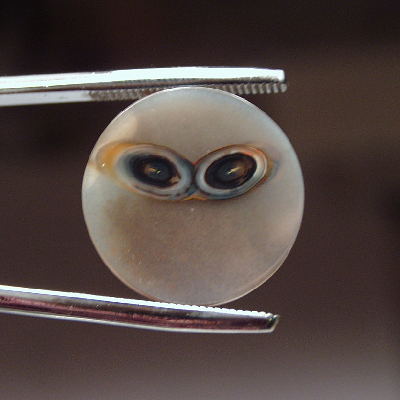 Fantastic Dendritic Agate Face Alien ONE OF A KIND Litnon.com