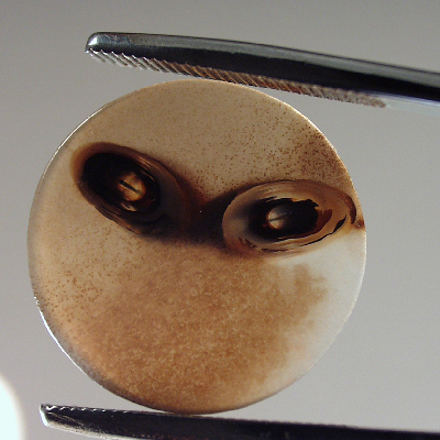 Fantastic Dendritic Agate Face Alien ONE OF A KIND Litnon.com