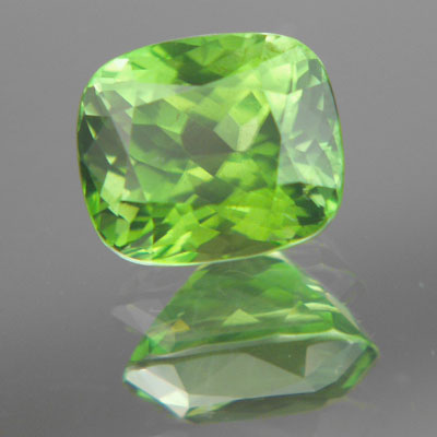 HUGE Top Gem South East Asia Peridot 11.88 carat Litnon.com