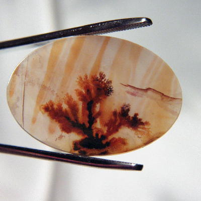 All Natural Fine Quality Dendritic Agate India Litnon.com
