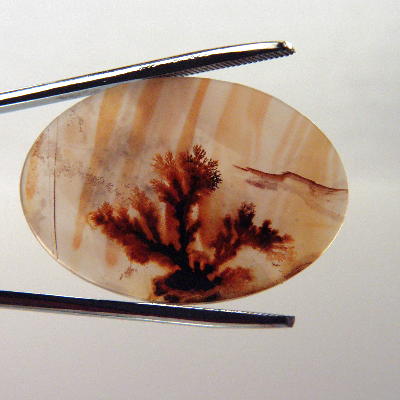 All Natural Fine Quality Dendritic Agate India Litnon.com