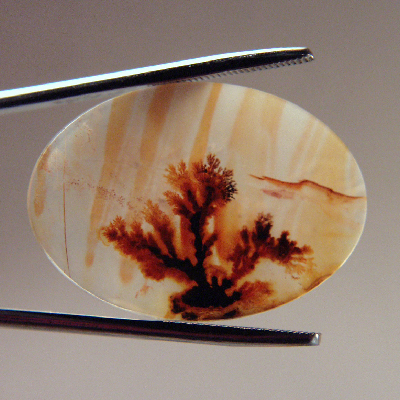 All Natural Fine Quality Dendritic Agate India Litnon.com