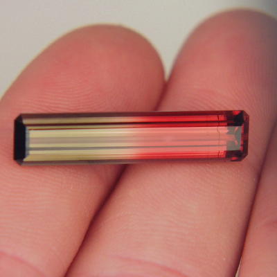 USA Cut Rare Colors Bi Color Tourmaline 12.35 ct  Litnon.com