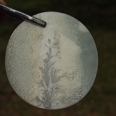 All Natural Fine Quality Dendritic Agate India Litnon.com