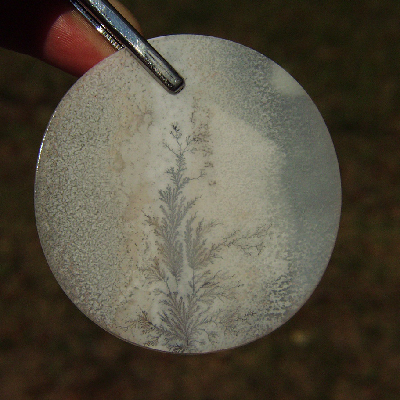 All Natural Fine Quality Dendritic Agate India Litnon.com