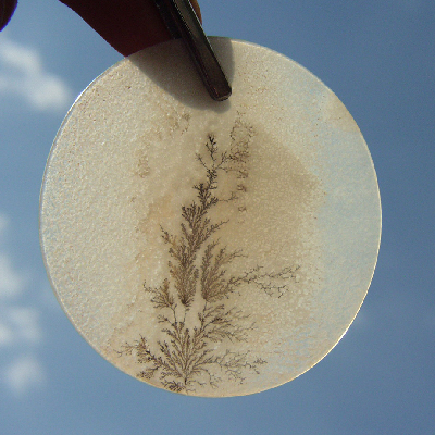 All Natural Fine Quality Dendritic Agate India Litnon.com