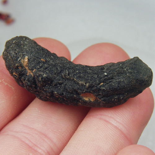 Rare Shape Besednice Czech Moldavite Rod Specimen  Litnon.com