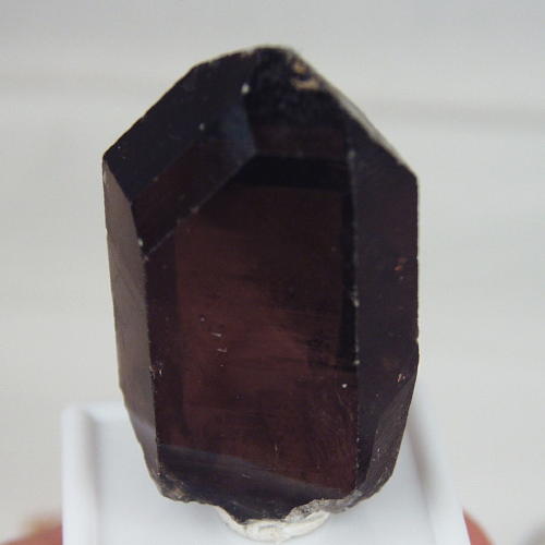 Big and Clean Smokey Quartz - Topaz Facet Rough 250ct  Litnon.com