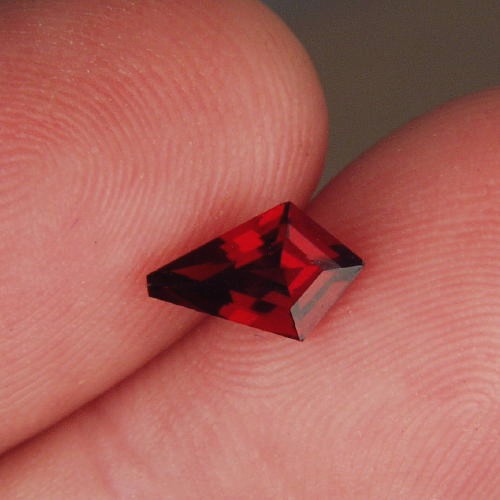 Fancy Cut Red Fire Crimson Color Umba River Garnet  Litnon.com