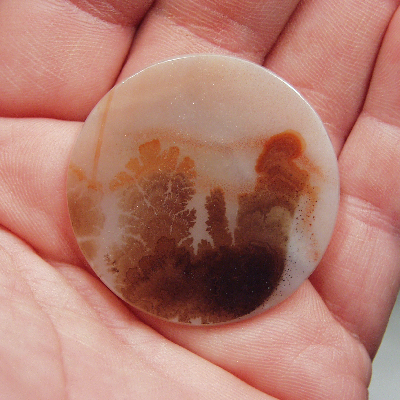 All Natural Fine Quality Dendritic Agate India Litnon.com