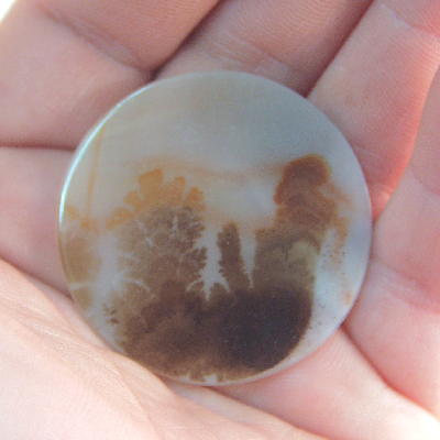 All Natural Fine Quality Dendritic Agate India Litnon.com
