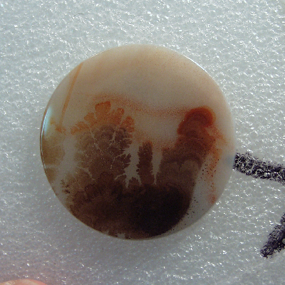 All Natural Fine Quality Dendritic Agate India Litnon.com