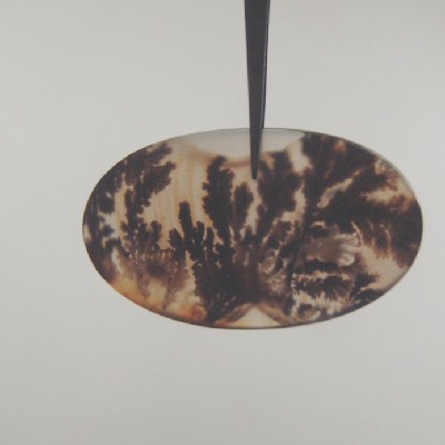 All Natural Fine Quality Dendritic Agate India Litnon.com