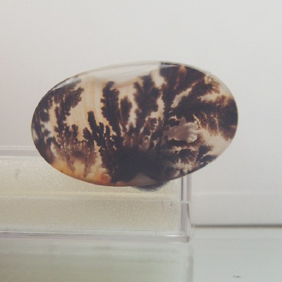 All Natural Fine Quality Dendritic Agate India Litnon.com
