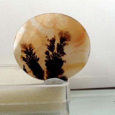 All Natural Fine Quality Dendritic Agate India Litnon.com