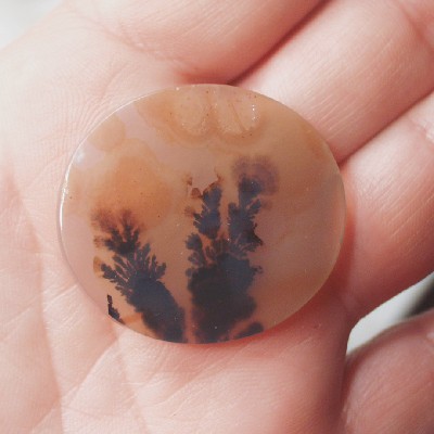 All Natural Fine Quality Dendritic Agate India Litnon.com