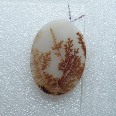 All Natural Fine Quality Dendritic Agate India  Litnon.com