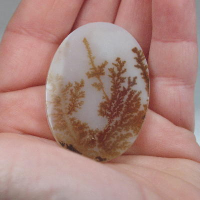 All Natural Fine Quality Dendritic Agate India  Litnon.com