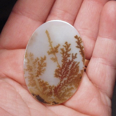 All Natural Fine Quality Dendritic Agate India  Litnon.com