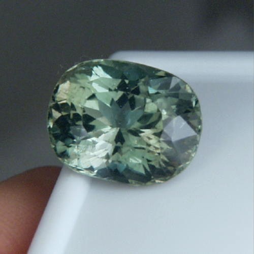 Collectors Gem Rare Green Apatite Sri Lanka 9.64 ct  Litnon.com