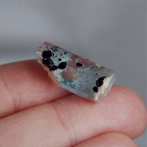 Blue Teminated Aquamarine - Schorl Crystal Namibia  Litnon.com