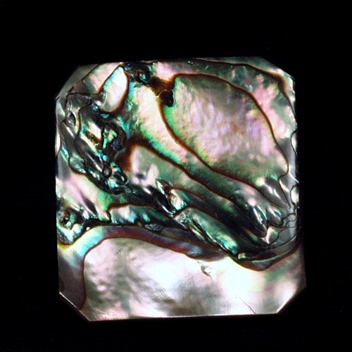 Color Iridescent California Red Abalone Cut Gem  Litnon.com