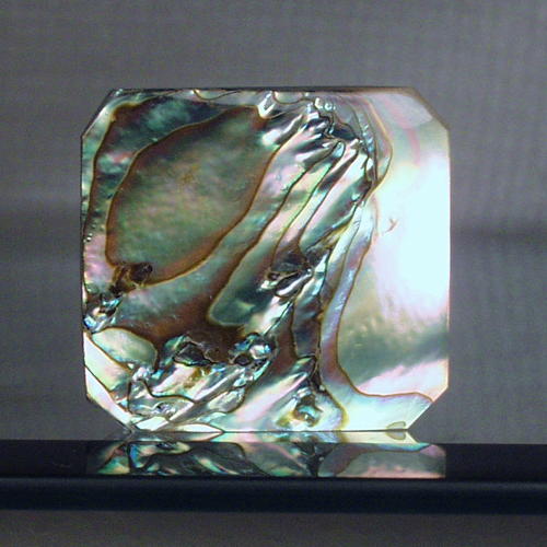 Color Iridescent California Red Abalone Cut Gem  Litnon.com
