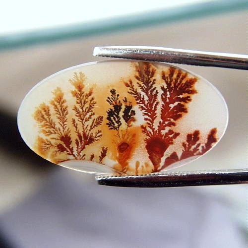 Museum Quality Worlds Best Scenic Dendritic Agate  Litnon.com