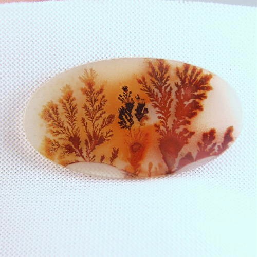 Museum Quality Worlds Best Scenic Dendritic Agate  Litnon.com