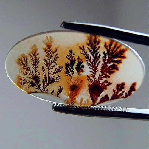 Museum Quality Worlds Best Scenic Dendritic Agate  Litnon.com