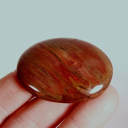 High Quality Big Petrified Wood Cabochon Arizona  Litnon.com