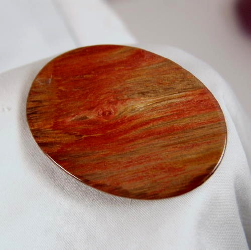 High Quality Big Petrified Wood Cabochon Arizona  Litnon.com