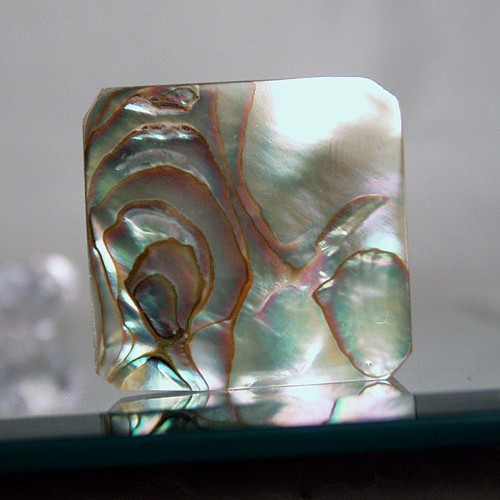 Color Iridescent California Red Abalone Cut Gem  Litnon.com