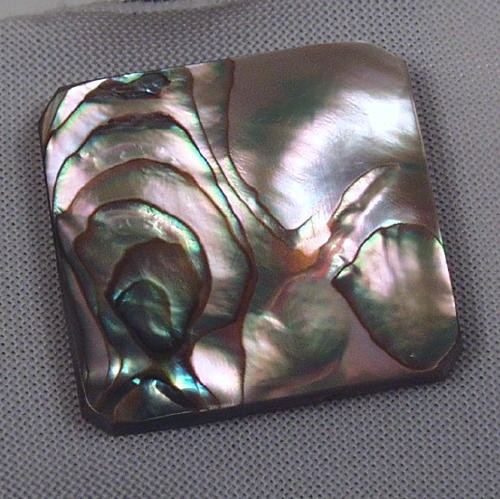 Color Iridescent California Red Abalone Cut Gem  Litnon.com