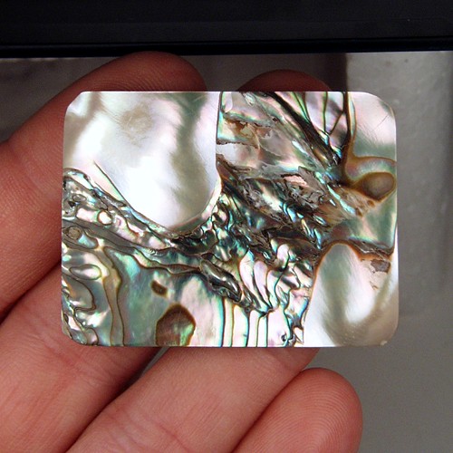 Color Iridescent California Red Abalone Cut Gem  Litnon.com