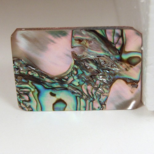 Color Iridescent California Red Abalone Cut Gem  Litnon.com