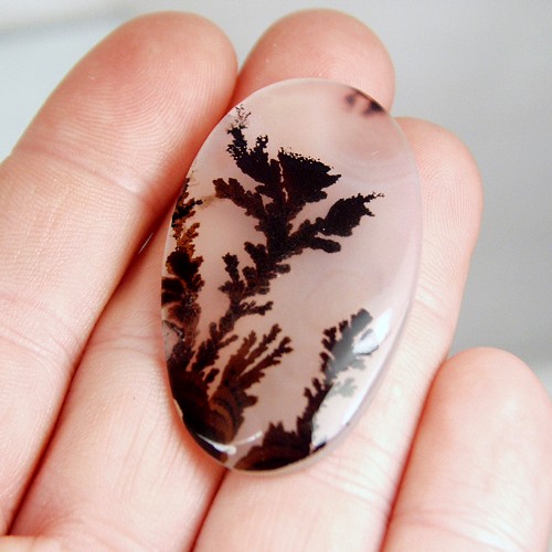  Rare and Fine Quality Scenic Dendritic Agate  Litnon.com
