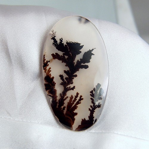  Rare and Fine Quality Scenic Dendritic Agate  Litnon.com