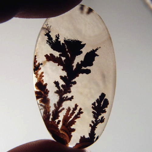  Rare and Fine Quality Scenic Dendritic Agate  Litnon.com
