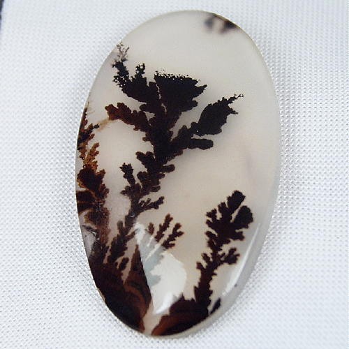  Rare and Fine Quality Scenic Dendritic Agate  Litnon.com