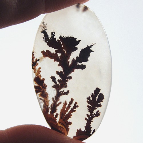 Rare and Fine Quality Scenic Dendritic Agate  Litnon.com