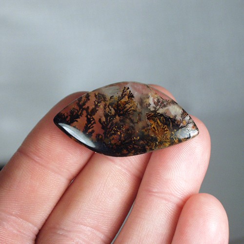 Collectors Quality Under Water Scene Dendritic Quartz  Litnon.com