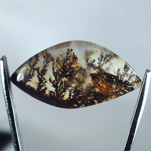 Collectors Quality Under Water Scene Dendritic Quartz  Litnon.com