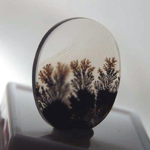 All Natural Fine Quality Dendritic Agate India  Litnon.com