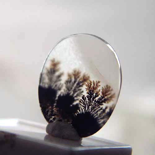 All Natural Fine Quality Dendritic Agate India  Litnon.com