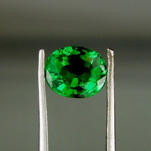 Color Chrome GreenTsavorite Garnet Kenya 1.23 ct  Litnon.com