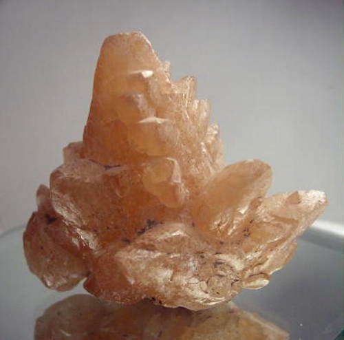 Special Cabinet Size Dog Tooth Calcite Specimen Litnon.com