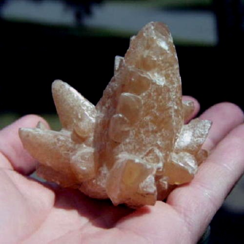 Special Cabinet Size Dog Tooth Calcite Specimen Litnon.com