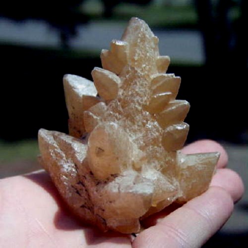 Special Cabinet Size Dog Tooth Calcite Specimen Litnon.com